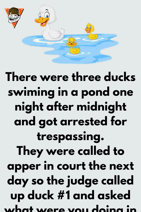 Blowing Bubbles Jokes Diary