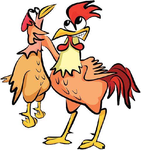 Two roosters fought for supremacy - Jokes Diary