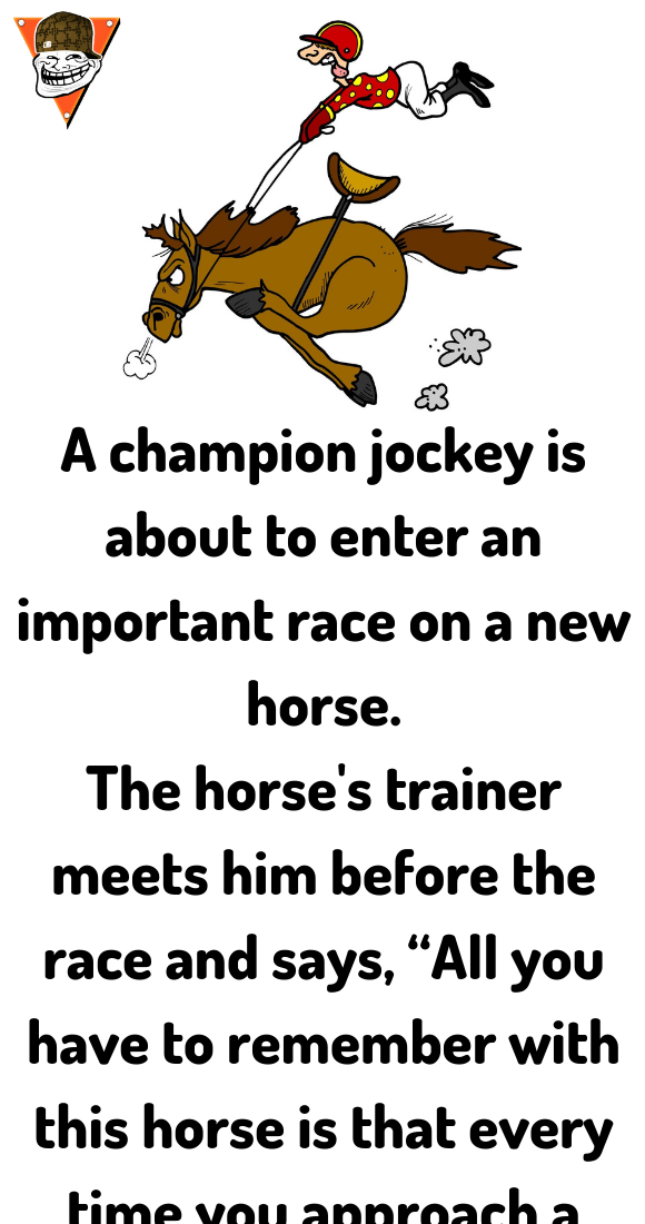 A important race on a new horse - Jokes Diary