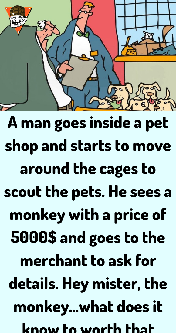 A man goes inside a pet shop Jokes Diary