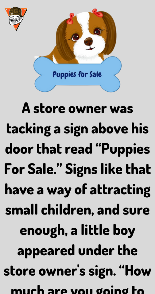 Puppies For Sale Jokes Diary