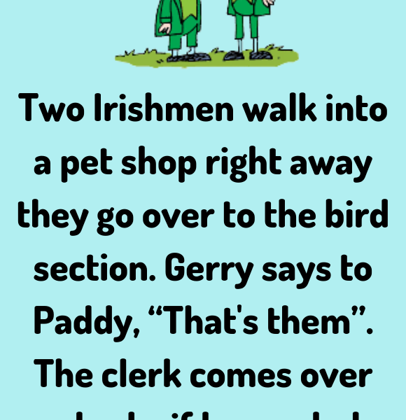 Two Irishmen walk into a pet shop - Jokes Diary