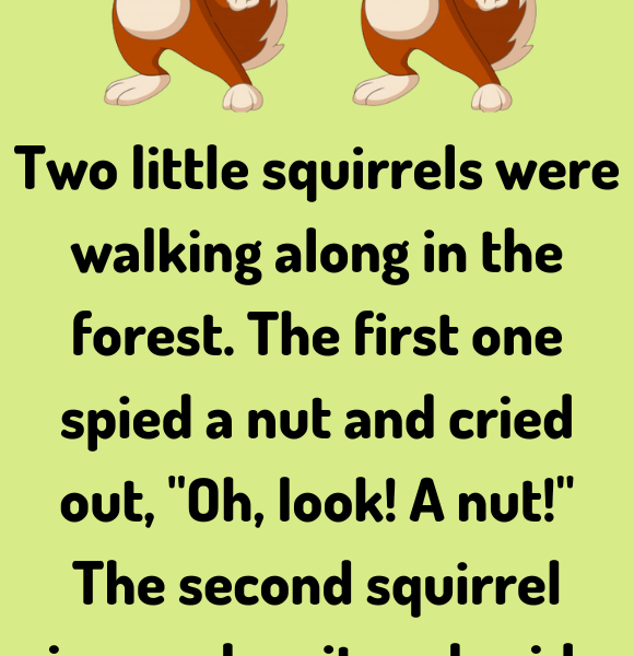 Two little squirrels were walking along - Jokes Diary